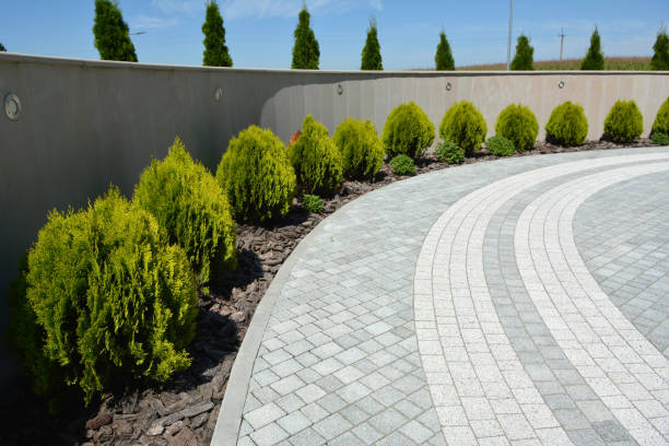 Best Decorative Driveway Pavers  in Val Verde Park, TX